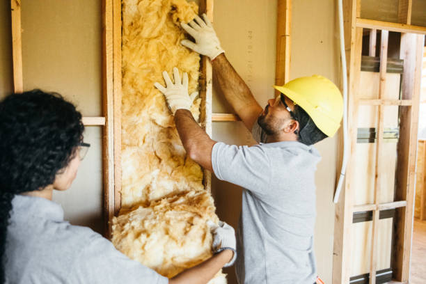 Best Basement Insulation  in Watkins Glen, NY